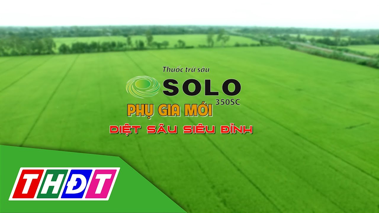 Integration Field_2025_No. 8_SOLO 350SC - New Additive for Superior Insect Control