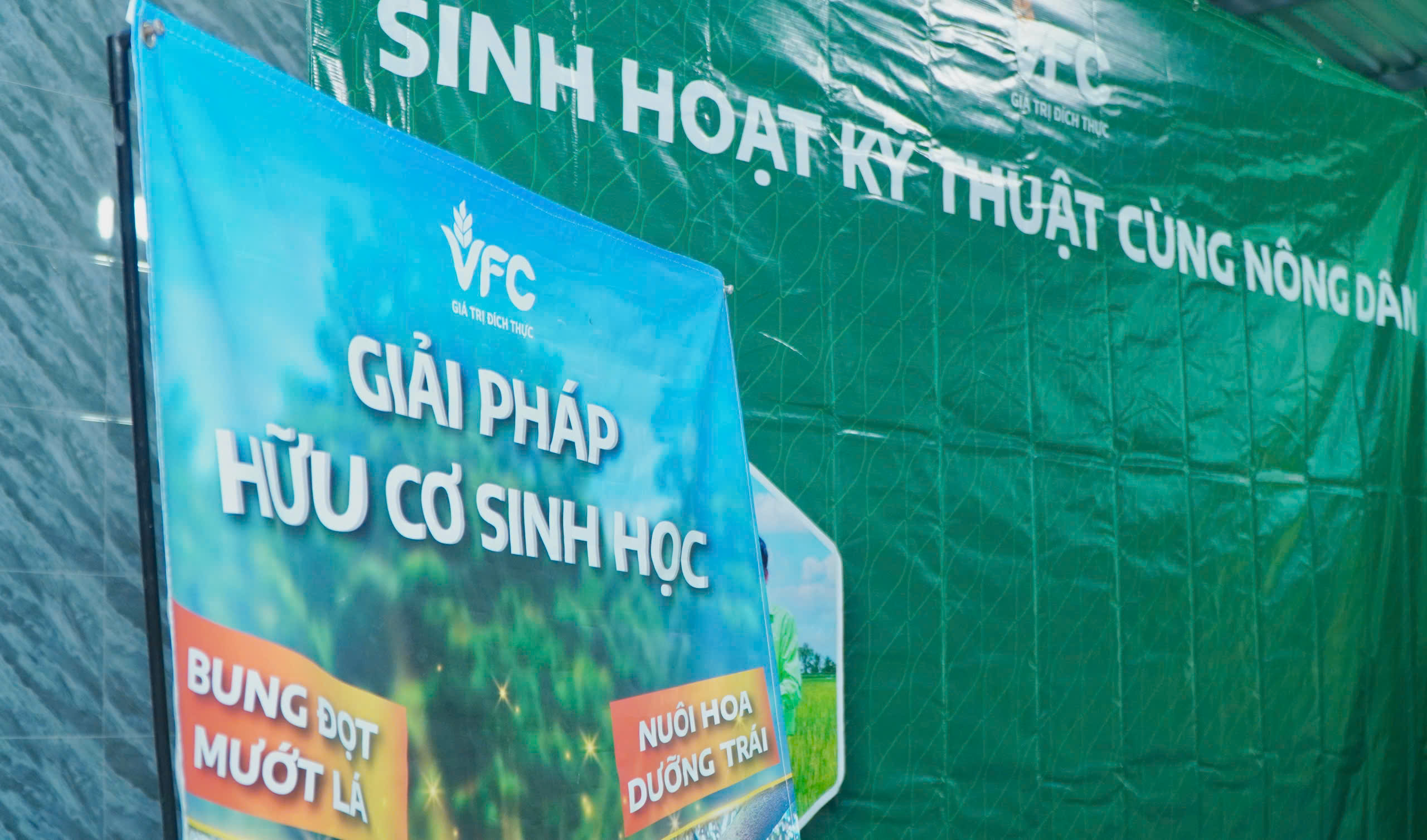 hoat-dong-vfc (5)