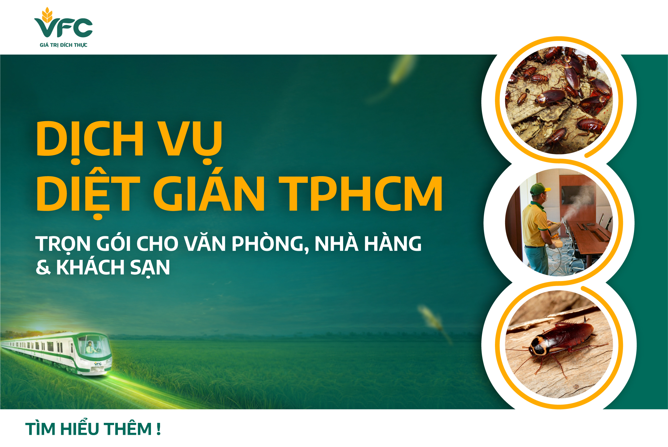 Dịch vụ diệt gián TPHCM trọn gói cho văn phòng, nhà hàng & khách sạn