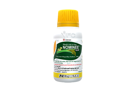 Nominee 10OF