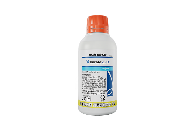 Karate 2.5EC
